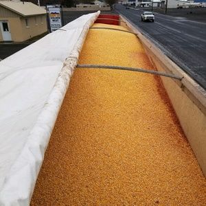 Meet your Posher, Travis